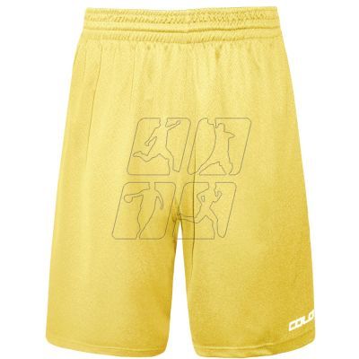 2. Colo Spring 04 Basketball Shorts