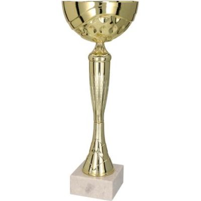 4. Gold metal cup TM 9059F