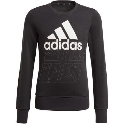 4. Sweatshirt adidas Essentials Big Logo Jr GP0040