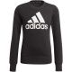 4. Sweatshirt adidas Essentials Big Logo Jr GP0040