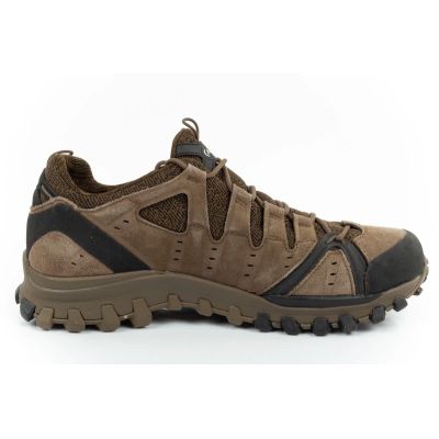 14. Aku Alterra Lite Gore-Tex M 715 073 shoes