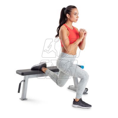 20. Proform Carbon Strength PFBE09620 horizontal bench