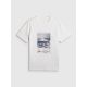 5. Men's regular printed T-shirt 4F 4FWSS26TTSHM2783-10S