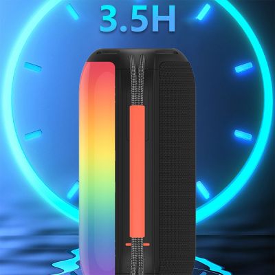13. Dudao Y21 Wireless Speaker with RGB Backlight Bluetooth 5.3 - Black