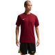 Nike Dri-Fit Park VIII Men's T-Shirt Burgundy HV8173 677