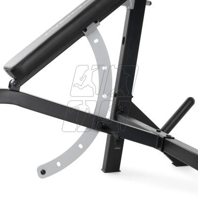 21. Proform Olympic bench with Sport XT stands