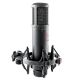 sE Electronics sE2200 Black Studio Microphone