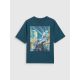 6. Boy's oversize printed T-shirt 4F 4FJRAW25TTSHM3061-46S