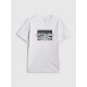 9. Men's regular printed T-shirt 4F 4FRSS26TTSHM3658-10S