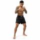 2. Black Men’s Muay Thai Shorts V1 COMBATWEAR | DBX Bushido