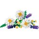 3. LEGO Botanical Collection 11508 - Daisies