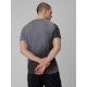 2. Men's quick-drying regular training T-shirt 4F 4FRSS26TFTSM2341-24A