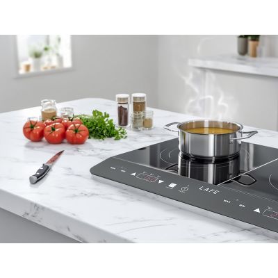 14. LAFE TWO-POLE INDUCTION COOKER CIY002