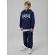 3. Boy's regular hooded sweatshirt 4F 4FJRSS26TSWSM2637-31S