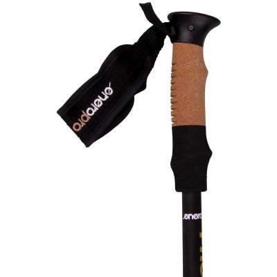 14. ENERO PRO EVO NORDIC WALKING POLES AND CASE