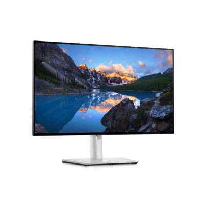 2. DELL LED MONITOR 23.8” U2422HE