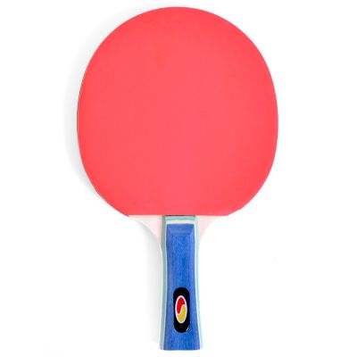 6. SMJ Faster 12201-1 Ping Pong Racket