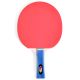 6. SMJ Faster 12201-1 Ping Pong Racket