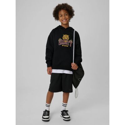 3. Loose-Fit Boys’ Hooded Sweatshirt 4F 4FJRAW26TSWSM3196-20S