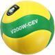 2. Mikasa V200W CEV Match Volleyball