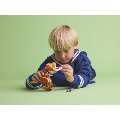 7. LEGO JURASSIC WORLD 76967 Tyrannosaurus Baby