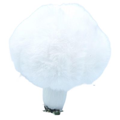 2. DECORATIVE PENDANT MUSHROOM 8x12CM WHITE
