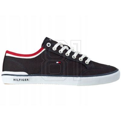 2. Tommy Hilfiger Harrington 5D2 M shoes FM0FM00543-403