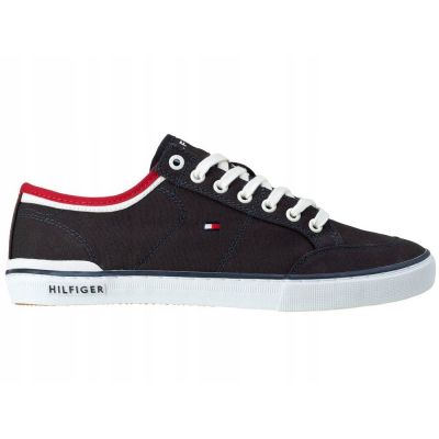 2. Tommy Hilfiger Harrington 5D2 M shoes FM0FM00543-403