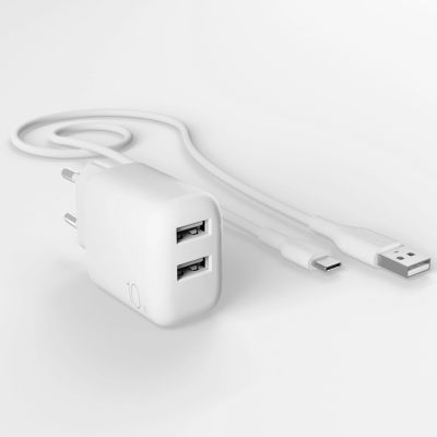 4. Puro PROLITE 10W 2x USB-A wall charger + USB-A - USB-C cable 1.2m - white