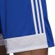4. Adidas Tastigo 19 Shorts M DP3682 shorts