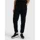 Women's jogger sweatpants 4F 4FRAW25TTROF1613-20S