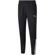 Puma teamLIGA Training Pants M 657242 45