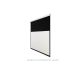 9. AVTEK BUSINESS ELECTRIC SCREEN 300P