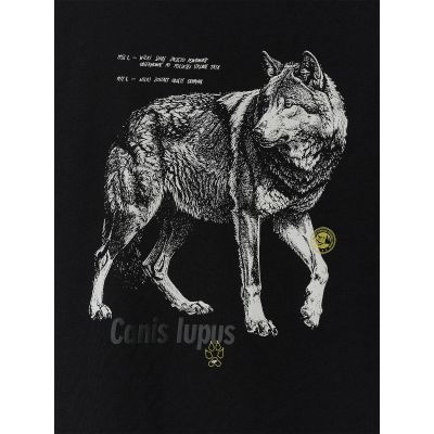 6. Men's regular printed T-shirt 4F 4FKAW26TTSHM4500-20S