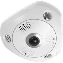 LevelOne IPCam 12MP/H.265/IR/12W/PoE/IP67 Fisheye Dome Camera