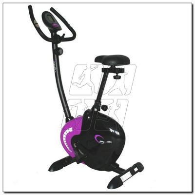 2. Magnetic bike purple HMS M9239V