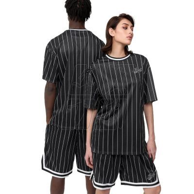 4. Karl Kani Chest Varsity Pinstripe Mesh Tee Light M 6038524