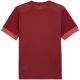 4. Puma teamGoal Matchday Jersey men's burgundy 705747 09