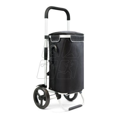 9. Allround Cruiser 650064 shopping trolley