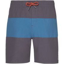 PROTEST BEAGLE JR children's beach shorts