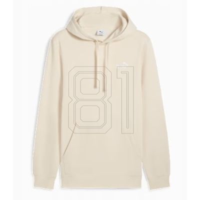 Puma ESS Small No.1 Logo Hoodie FL M 682575 87