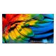 Philips 43HFL6214U 109.2 cm (43") 4K Ultra HD Smart TV Wi-Fi Anthracite 400 cd/m2 Rollable Display
