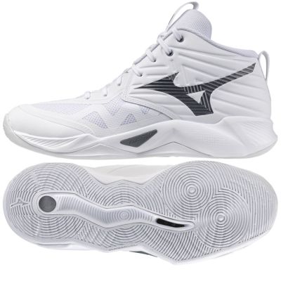 Mizuno WAVE MOMENTUM PRO MID V1GA254583 shoes
