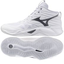 Mizuno WAVE MOMENTUM PRO MID V1GA254583 shoes