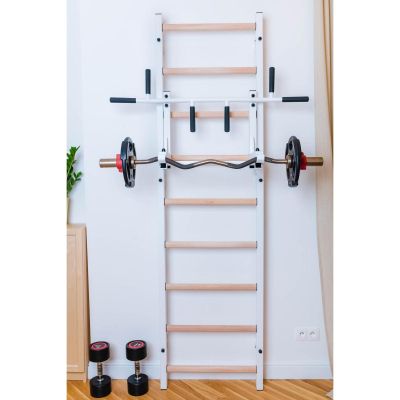 43. GYMNASTIC LAMBER WITH ADJUSTABLE METAL BAR 731W BENCHK