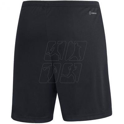 2. Adidas Entrada 22 M H57504 shorts