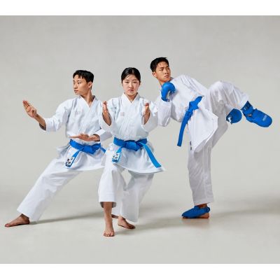 13. Karate gloves - Mitts 2 BLUE WKF | MOOTO