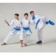 13. Karate gloves - Mitts 2 BLUE WKF | MOOTO