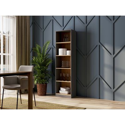 3. R50 bookcase 50x30xH181 anthracite/artisan