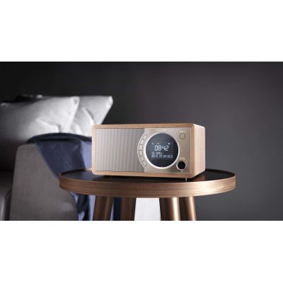5. Sharp DR-450(BR) digital radio with Bluetooth technology